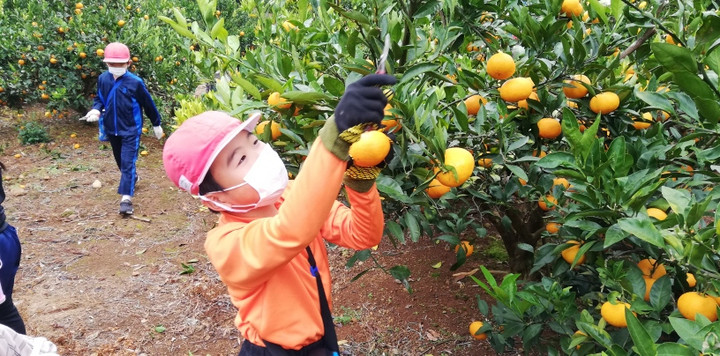 Img_20201125_100947_resized_2020112