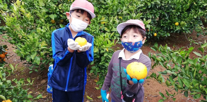 Img_20201125_101120_resized_2020112