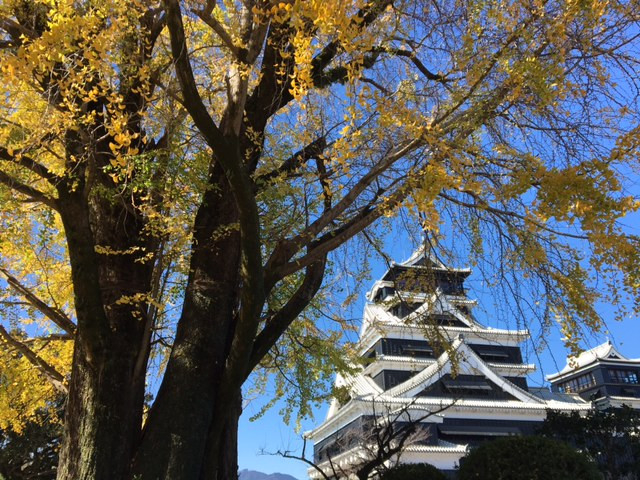 熊本城見学&城彩苑