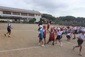 Img_0095 Img_0095
